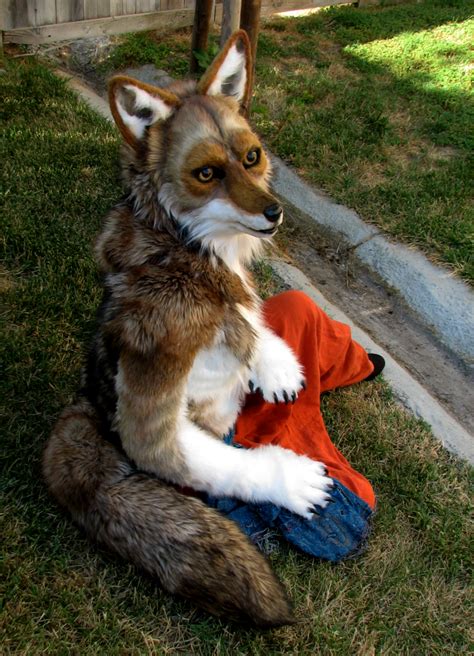 cute cat fursuit|realistic coyote fursuits.